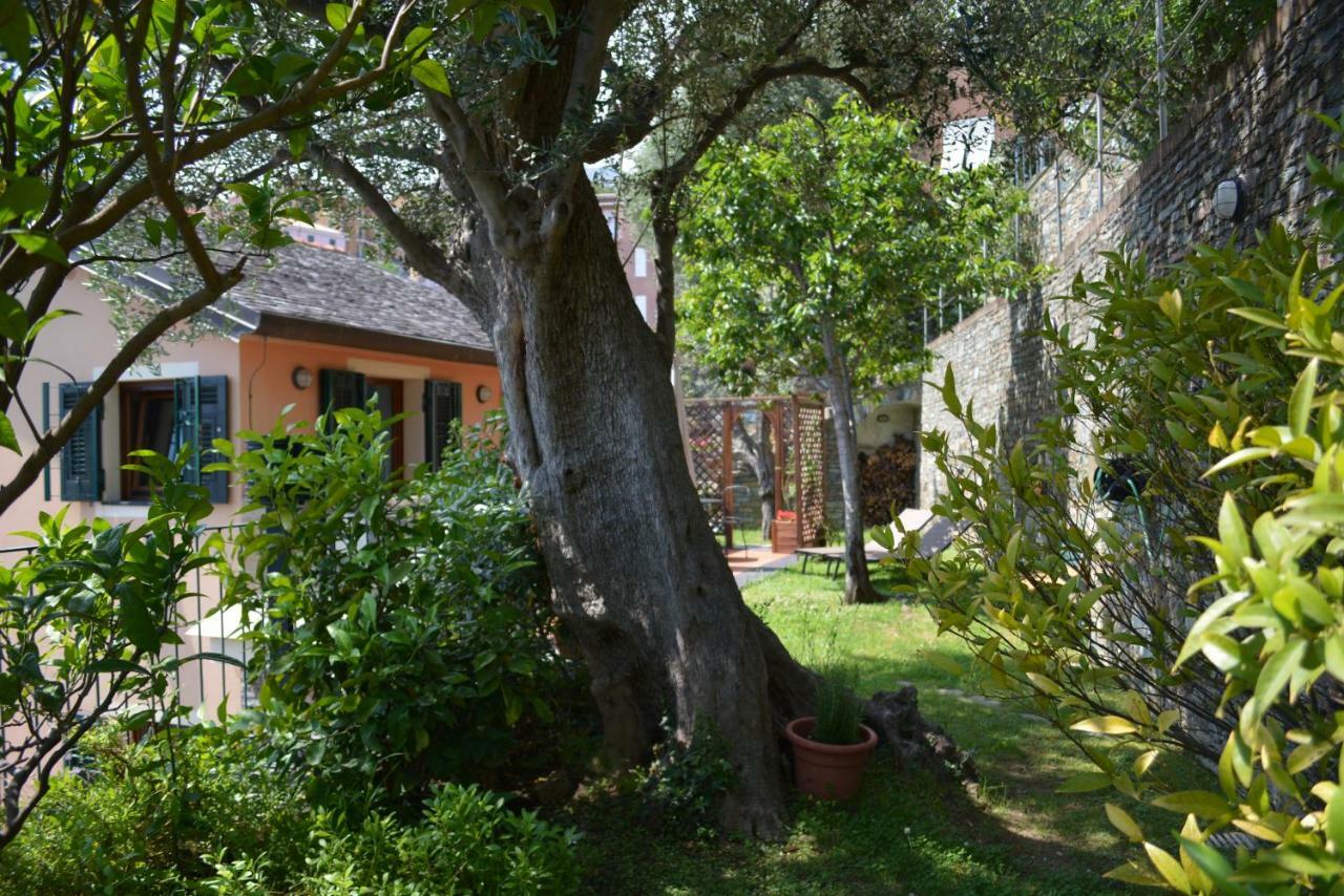 Ca Da Munta Bed And Breakfast Arenzano Bagian luar foto